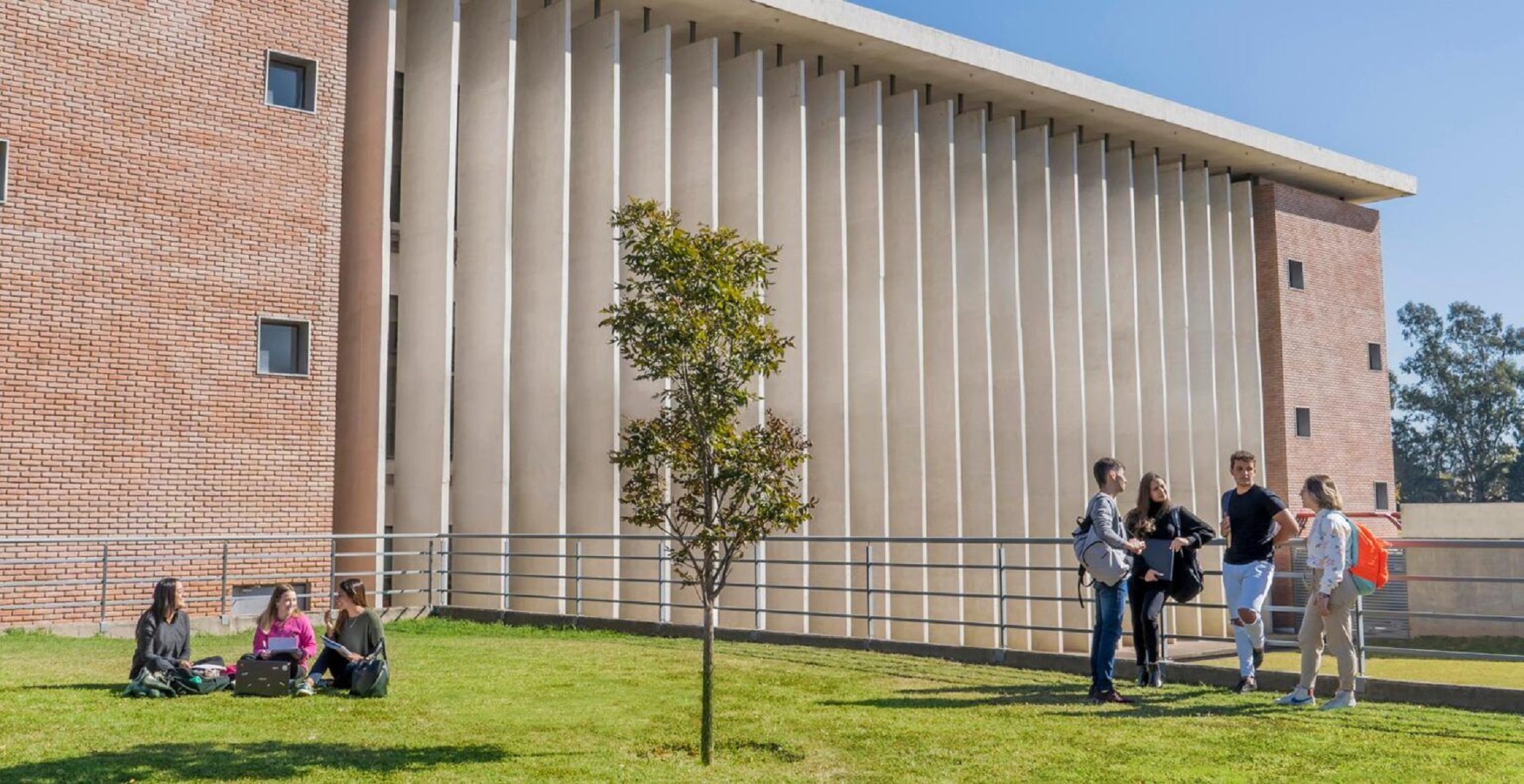Estudia un semestre en el extranjero