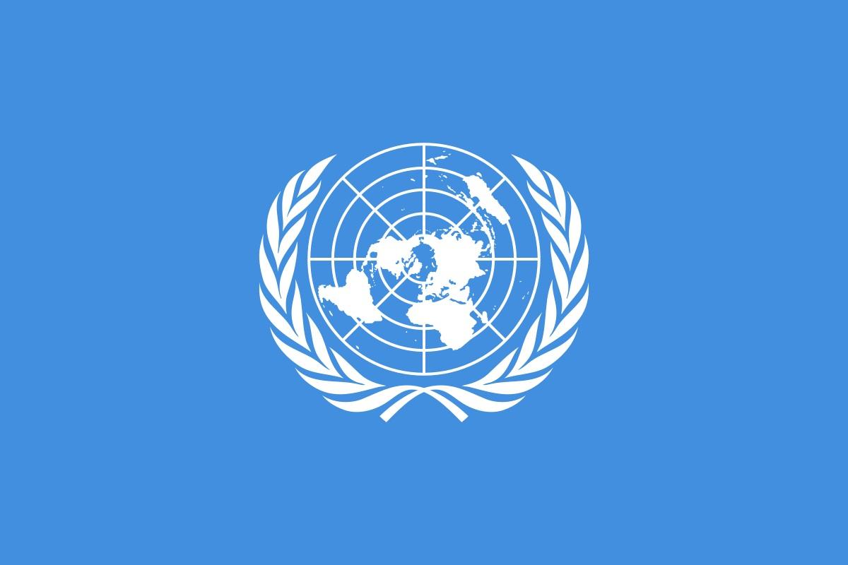 Voluntariados ONU